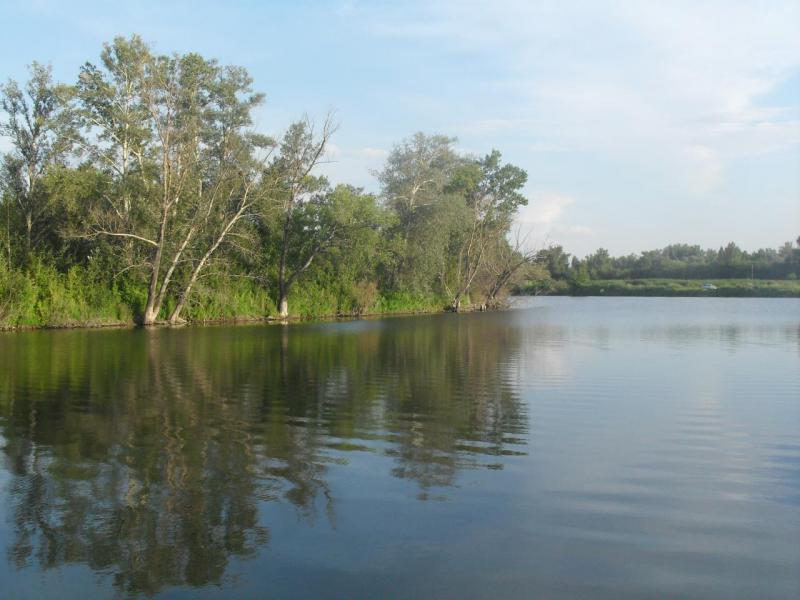 SDC16446.JPG