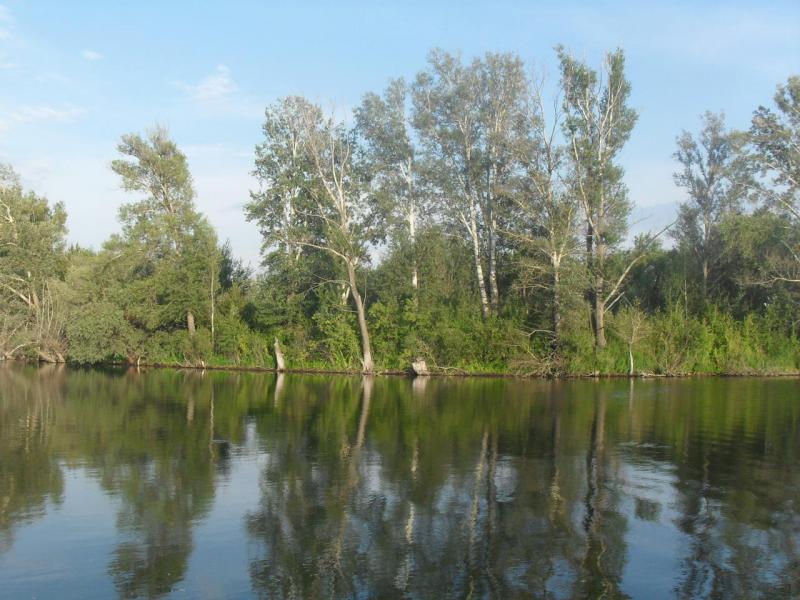 SDC16445.JPG