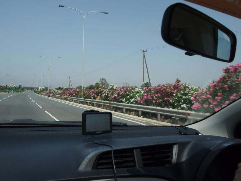P1012403.JPG
