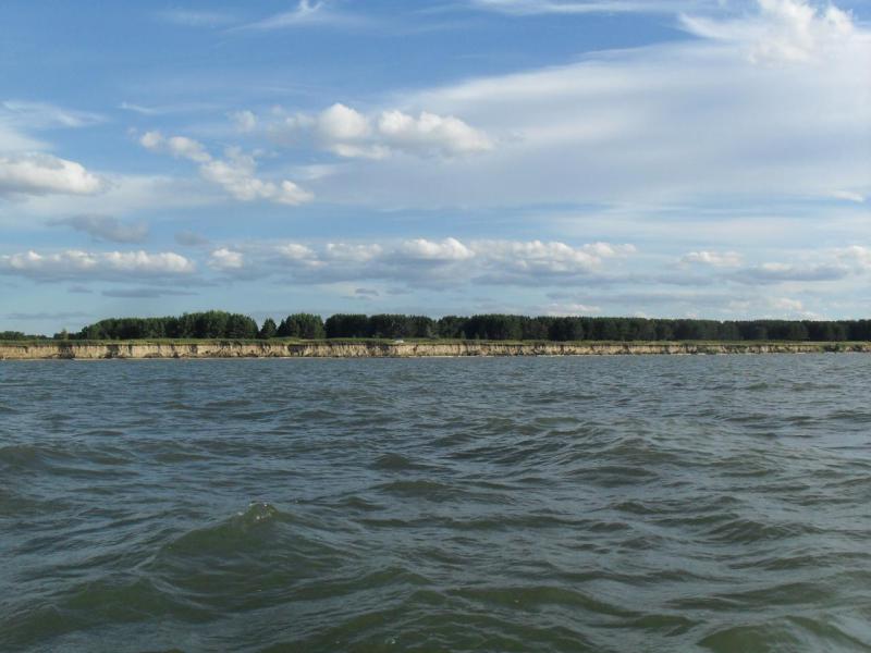 SDC13485.JPG