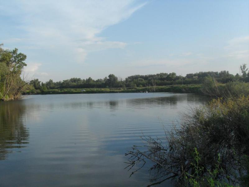 SDC16447.JPG