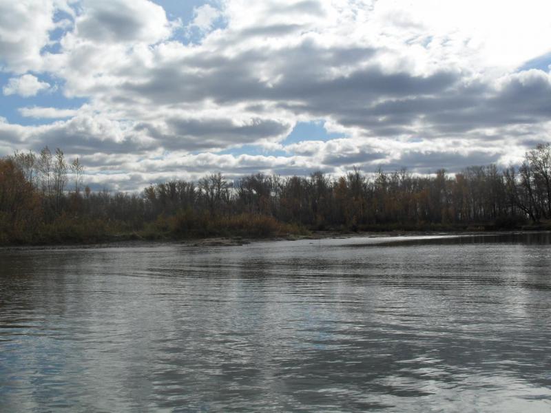 SDC14216.JPG