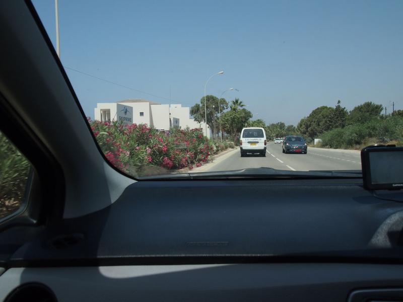 P1012391.JPG