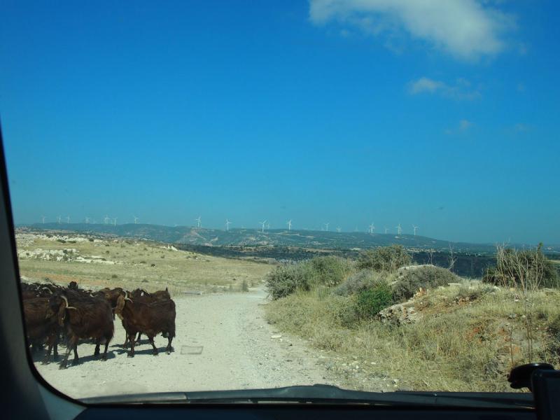 P1012558.JPG