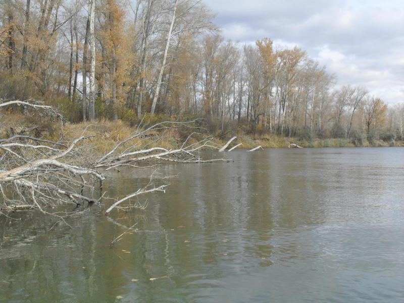 SDC14214.JPG