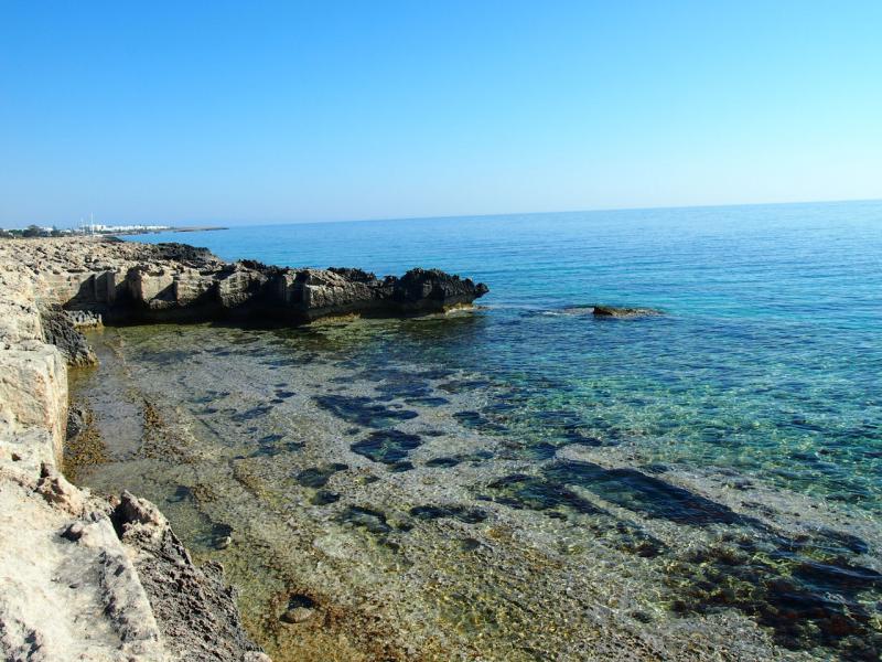 P1011456.JPG