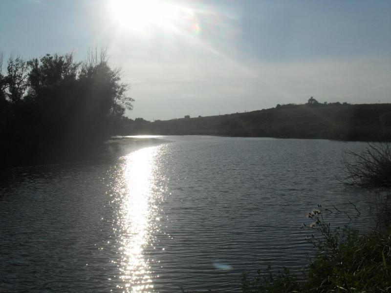 SDC16440.JPG