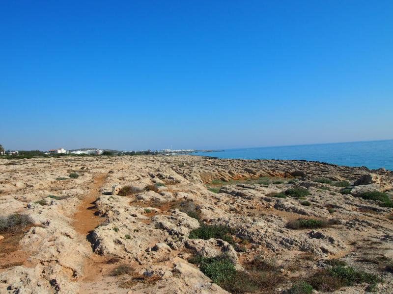 P1011461.JPG