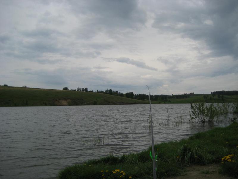 IMG_3952.JPG