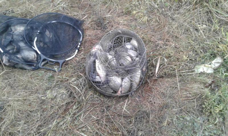 20160923_0935041.jpg