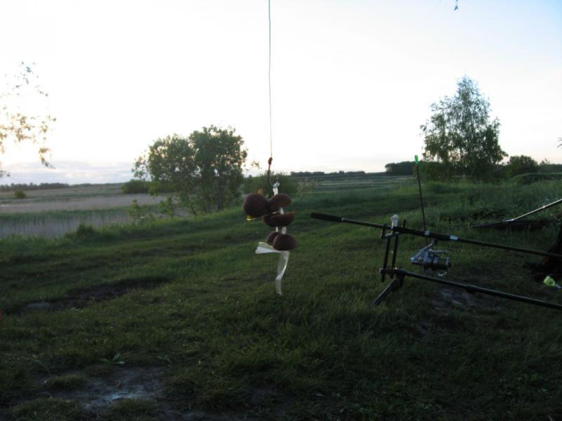 IMG_1407.jpg