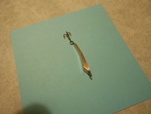 DSCN5387.JPG