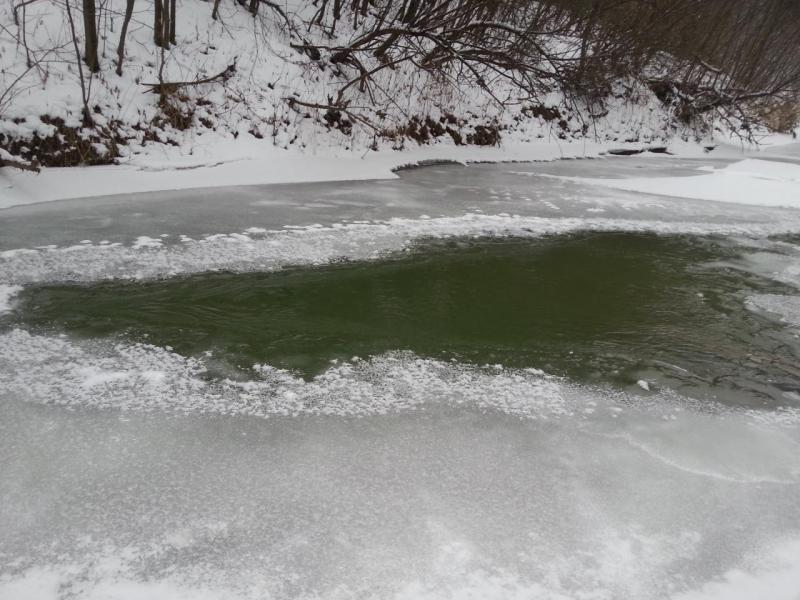 20171210_103546.jpg