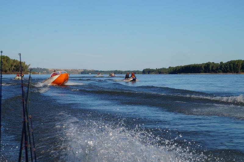 DSC07955.jpg