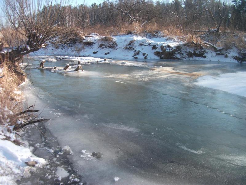 DSCF7385.jpg