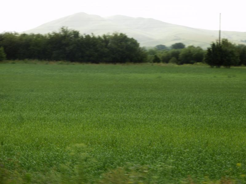 P7110860.JPG