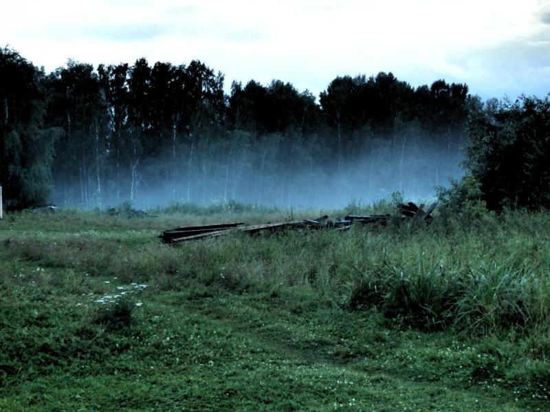 P7110840.JPG