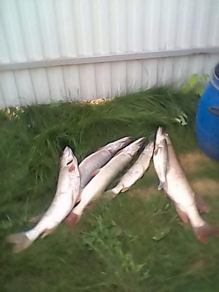 IMG-20170830-WA0010.jpg