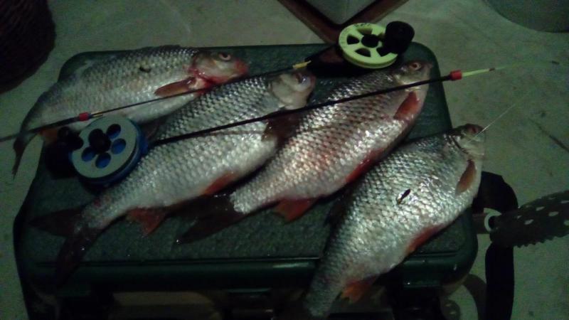 IMG_20161210_195843.jpg