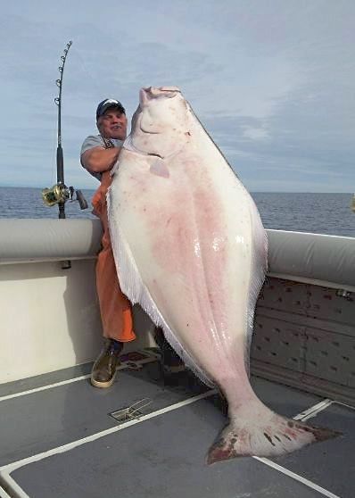 big-halibut-2.jpg