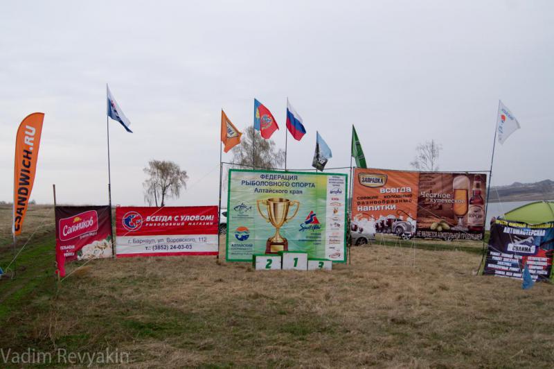 DSC08555.jpg