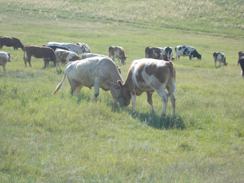 DSCN2980.JPG