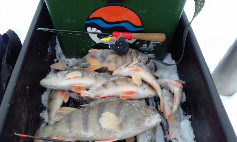 20170121_1517131.jpg