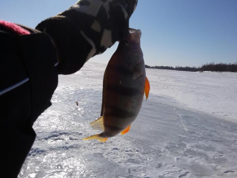20160307_140334.jpg