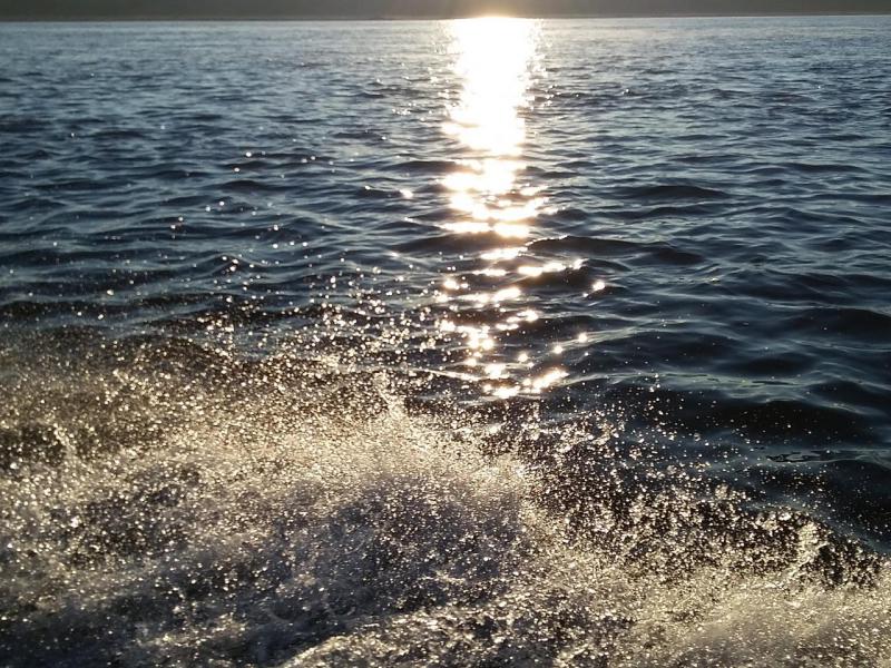 20160917_074813.jpg