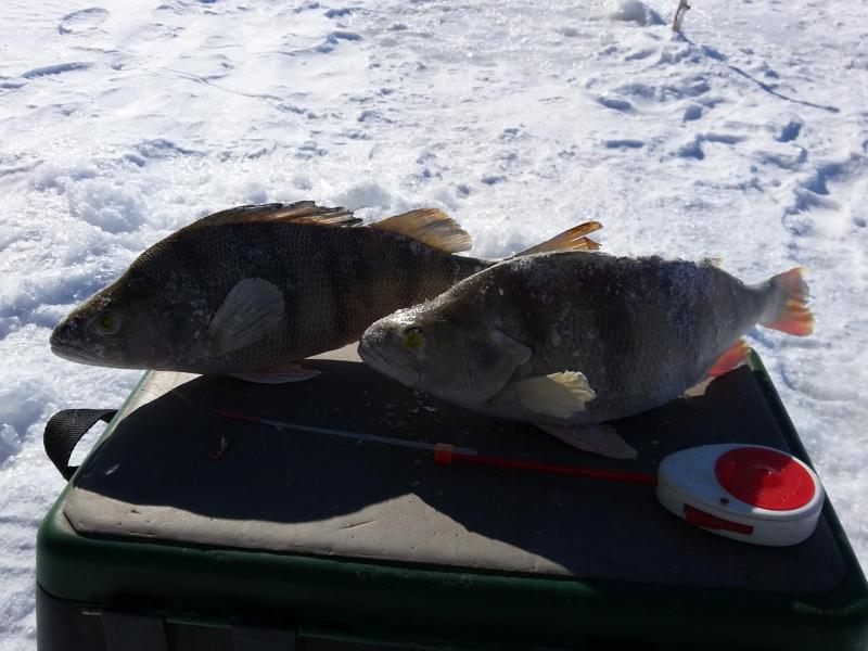 20160307_122437.jpg