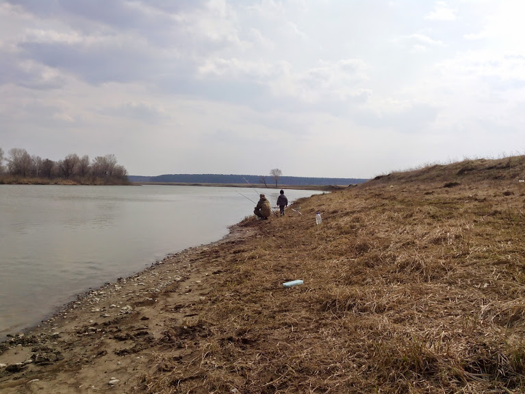 IMG_20140419_151750.jpg