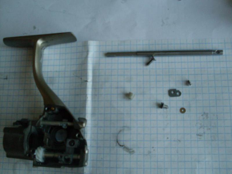 SDC10385.JPG