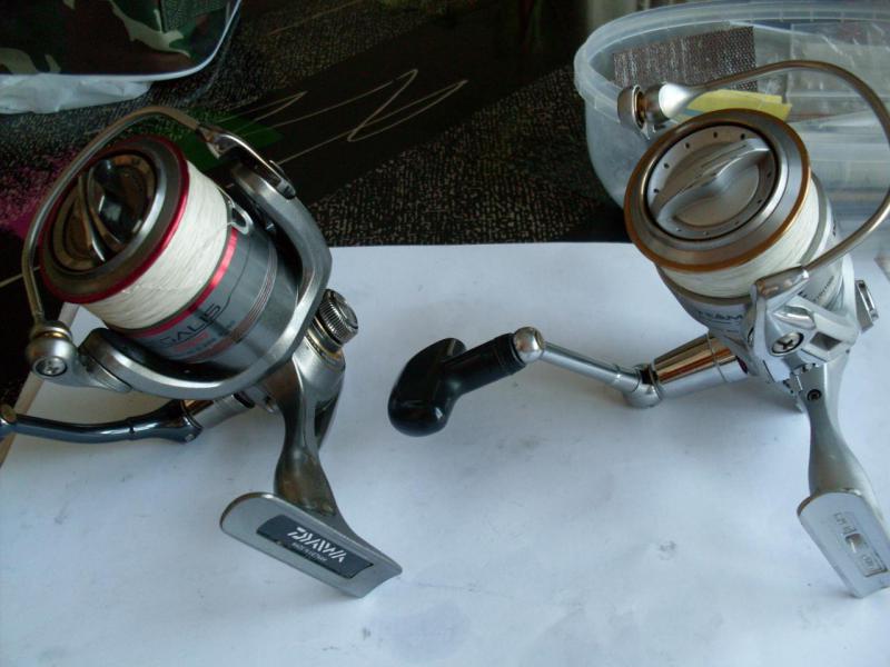 SDC10403.JPG