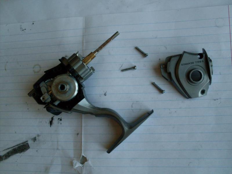 SDC10593.JPG