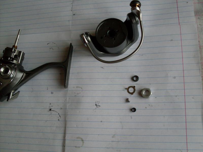 SDC10455.JPG