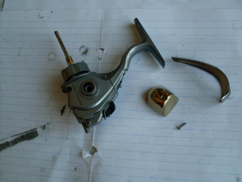 SDC10594.JPG