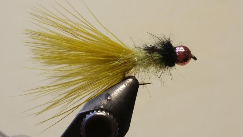 20160518_192827.jpg