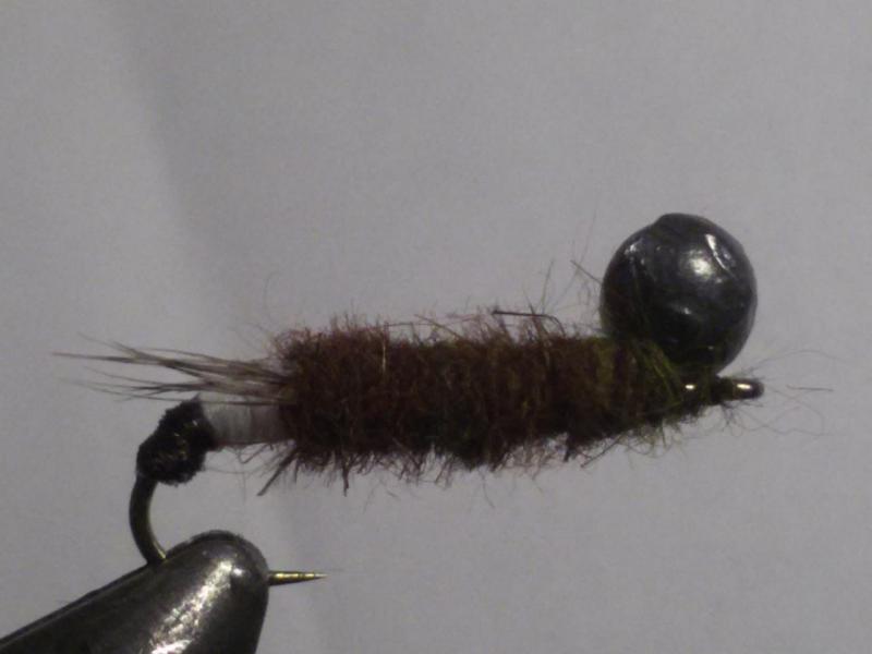 20150527_204837.jpg