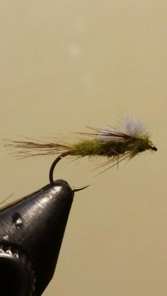 20160517_211535.jpg