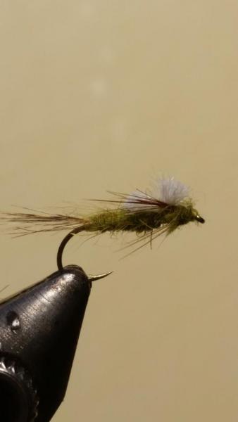 20160517_211540.jpg