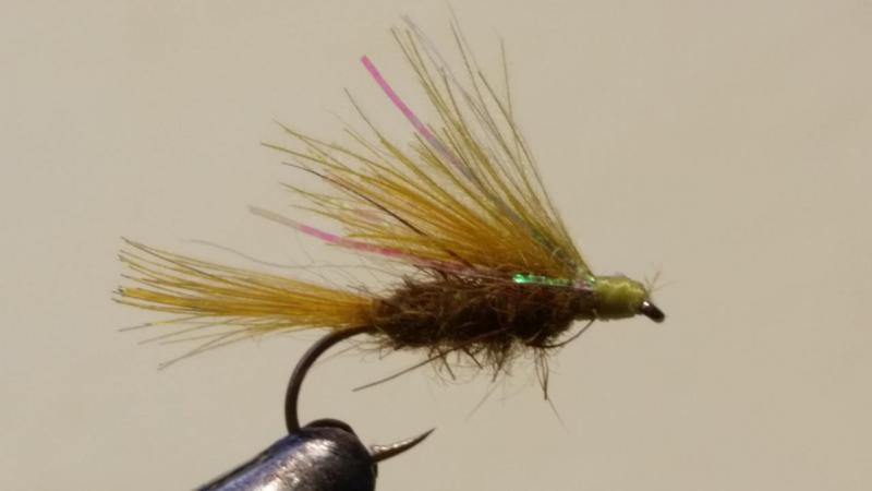 20160518_193331.jpg