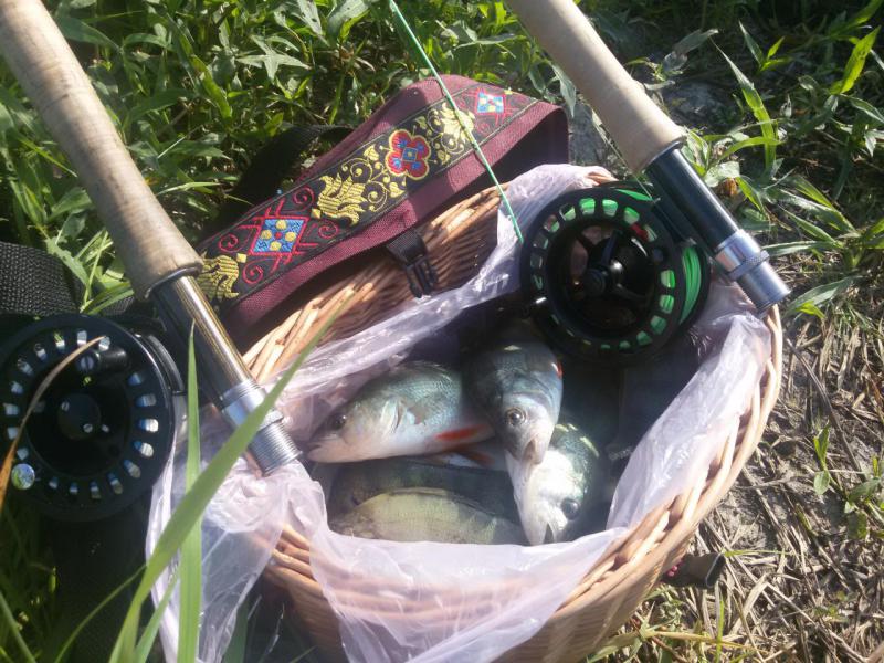 20160820_095323.jpg