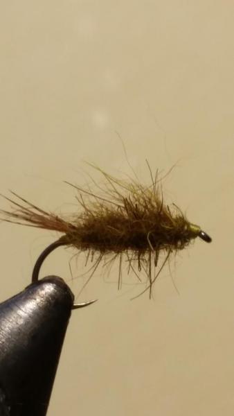 20160517_211758.jpg