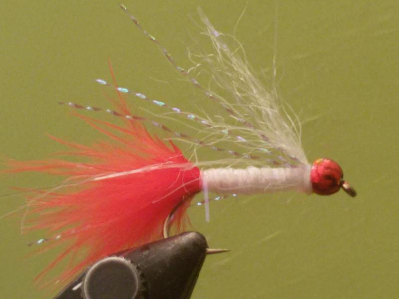20150626_194135.jpg