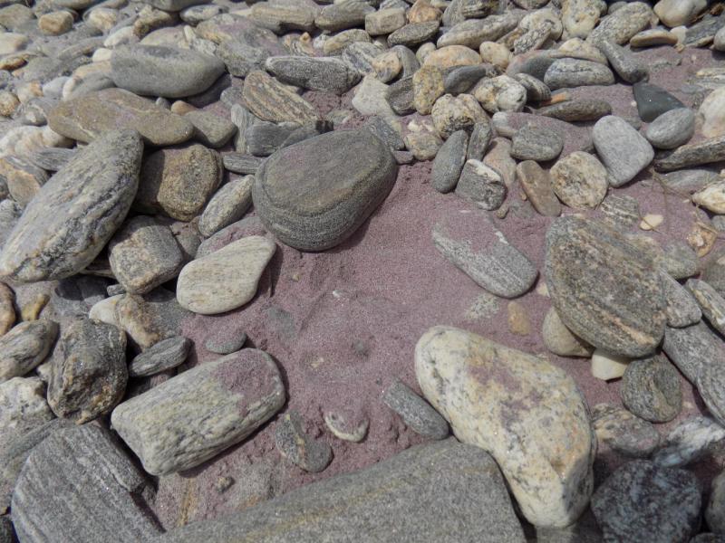 DSCN1052.JPG