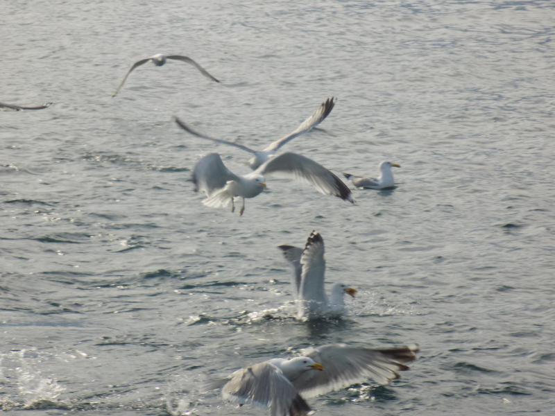 DSCN1199.JPG