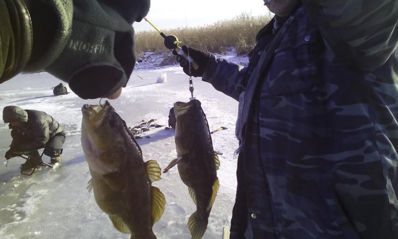 IMG_20151111_143639.jpg