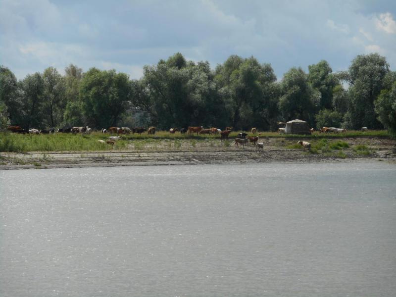 DSCN1727.JPG