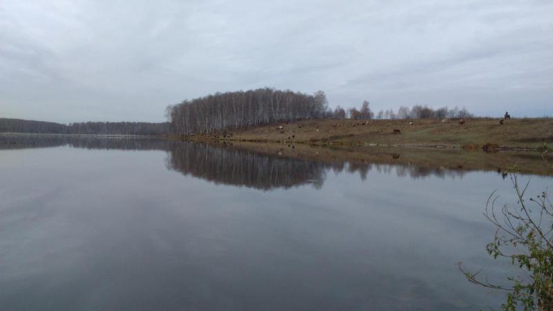 IMG_20151018_074903.jpg