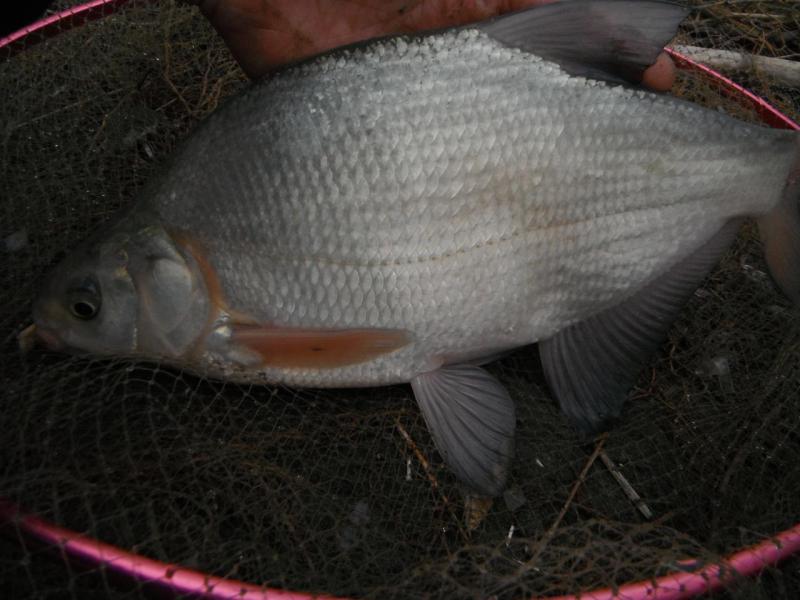 DSCF5402.JPG